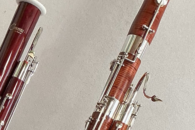 Musikunterricht im Fach Fagott an der Musikschule Seeheim Jugenheim